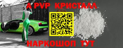 твердый Кингисепп