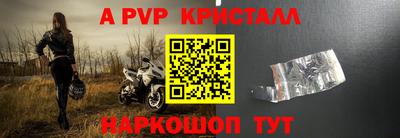 твердый Кингисепп